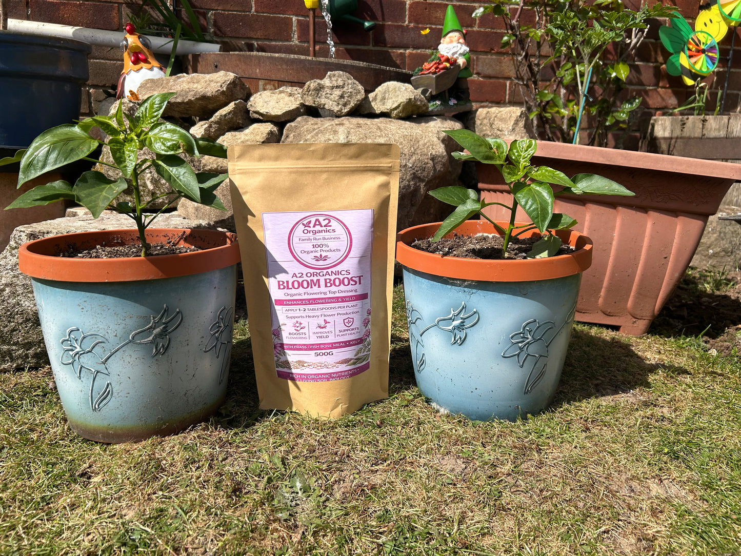 A2 Organics Bloom Top Dress – Living Soil Organic Nutrient Blend (500g)