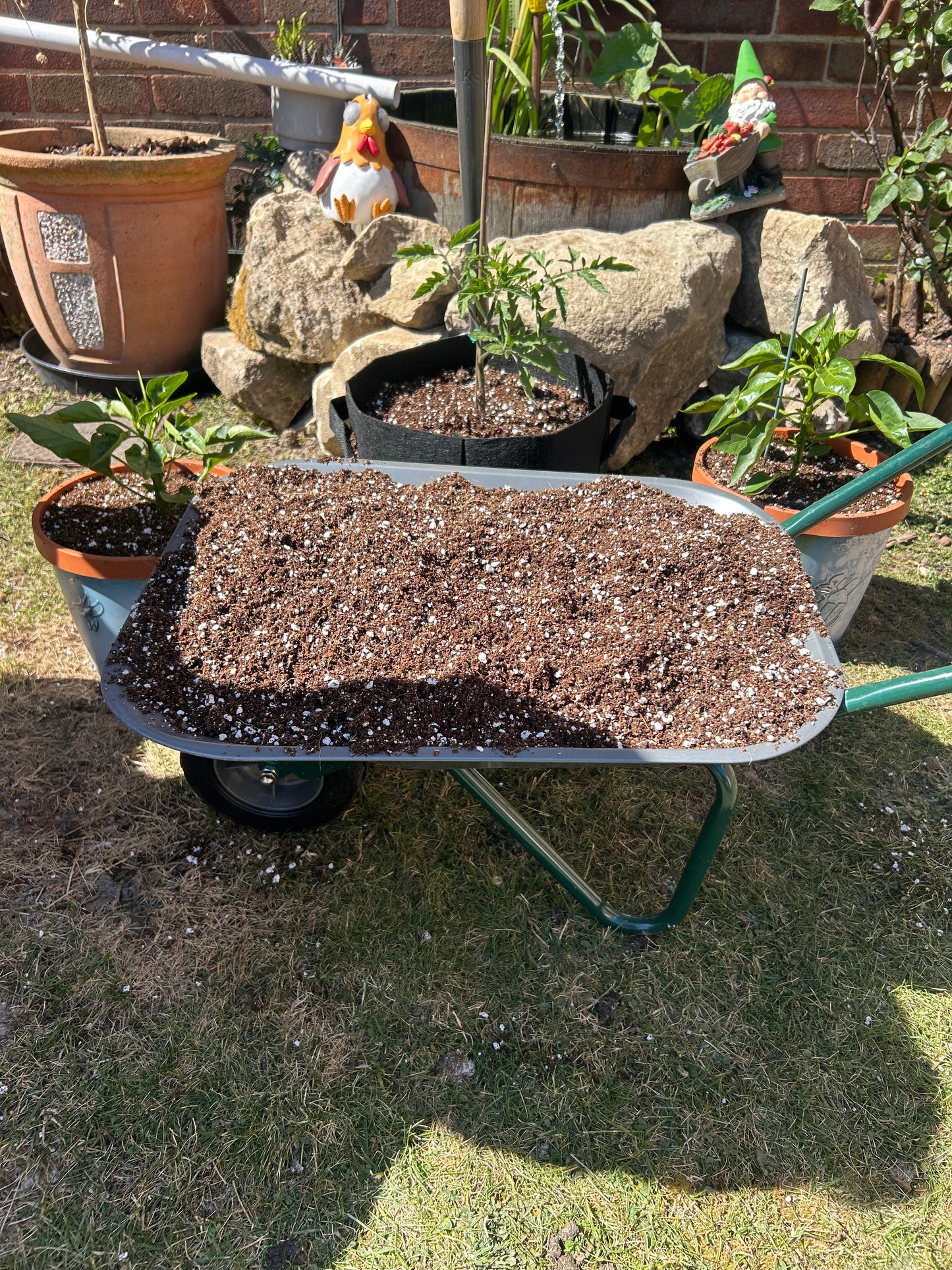A2 Organics Living Soil – 40L